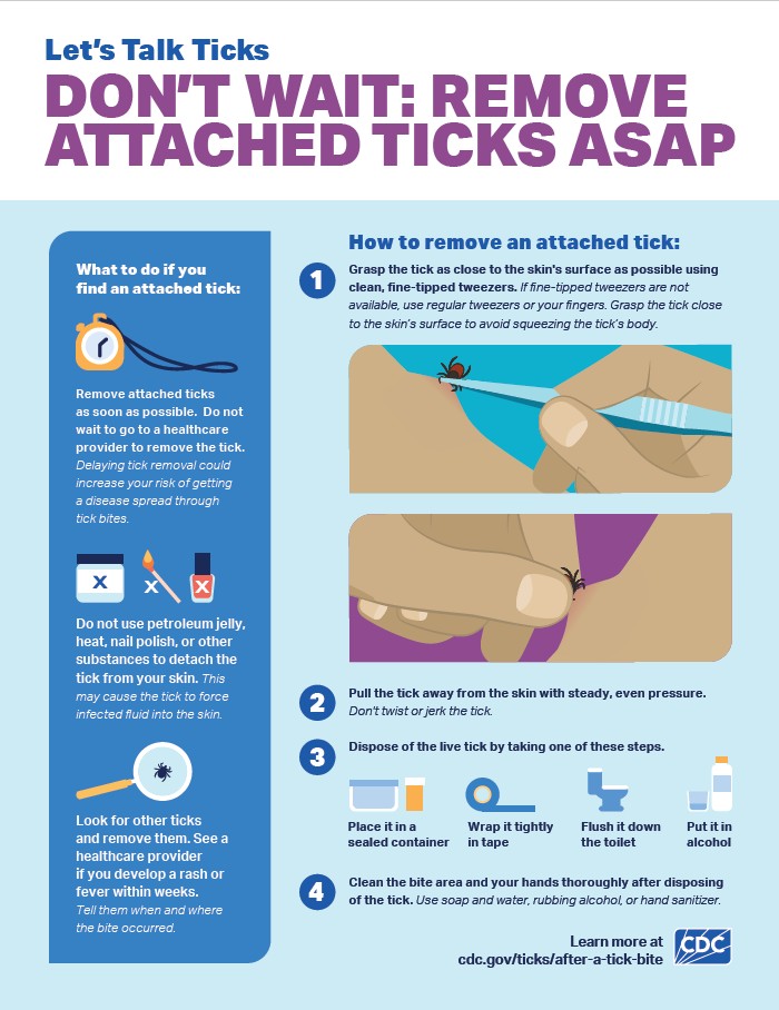 Flyer from the CDC with information on how to properly remove a attached tick.